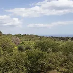 Ginevra * Santa Venerina